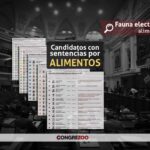 Elecciones 2026: Lista de candidatos con sentencias por alimentos