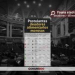Elecciones 2026: Postulantes en condición de deudores alimentarios morosos