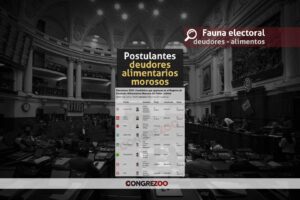 Elecciones 2026: Postulantes en condición de deudores alimentarios morosos