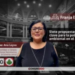 Siete propuestas clave para la política ambiental en el Perú