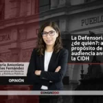 La Defensoría ¿de quién?: a propósito de la audiencia ante la CIDH
