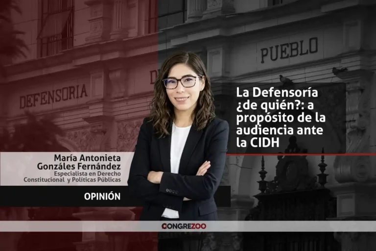 La Defensoría ¿de quién?: a propósito de la audiencia ante la CIDH