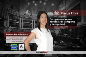 Seis propuestas para recuperar el transporte y la seguridad