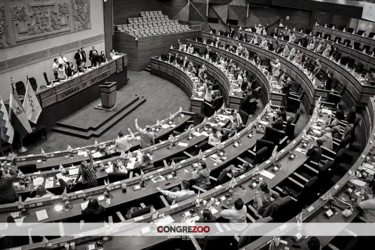 Bolivia: Tras presión ciudadana, Cámara de Diputados da el primer paso para derogar la Ley 1720 y lo remite al Senado