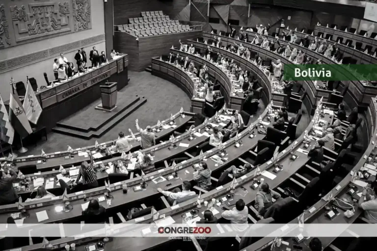 Bolivia: Tras presión ciudadana, Cámara de Diputados da el primer paso para derogar la Ley 1720 y lo remite al Senado
