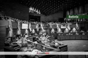 Ley 1720 de Bolivia: qué decía la norma y por qué terminó siendo abrogada