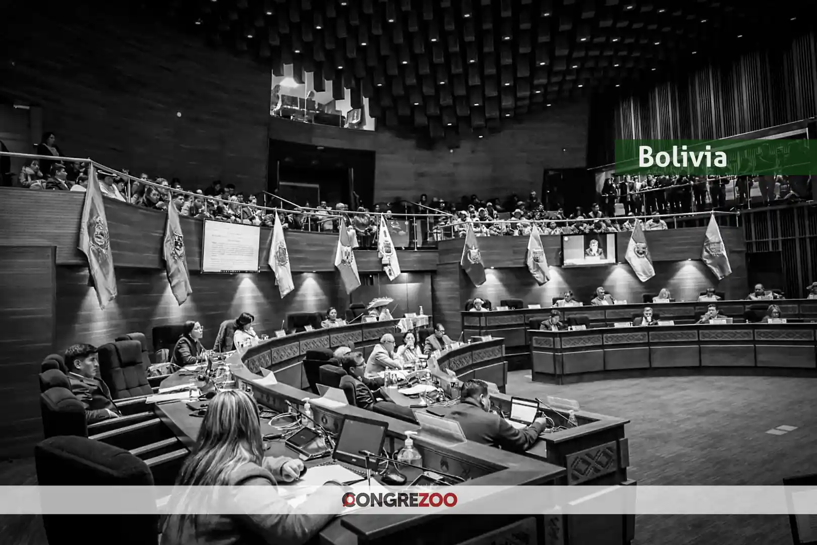 camara de senadores ley 1720 derogatoria bolivia 2026 - La Nube