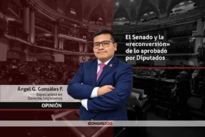 El Senado y la «reconversión» de lo aprobado por Diputados (Parte III)