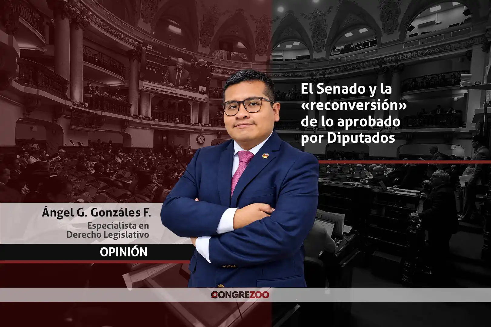 El Senado y la reconversión de lo aprobado por diputados - angel gabriel gonzales fabian