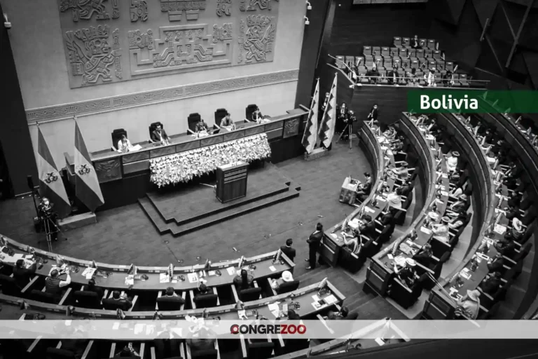 Bolivia: al menos diez iniciativas de leyes ambientales quedaron congeladas en los archivos de la Asamblea Legislativa desde 2020