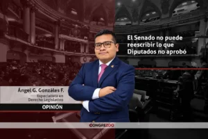 El Senado no puede reescribir lo que Diputados no aprobó