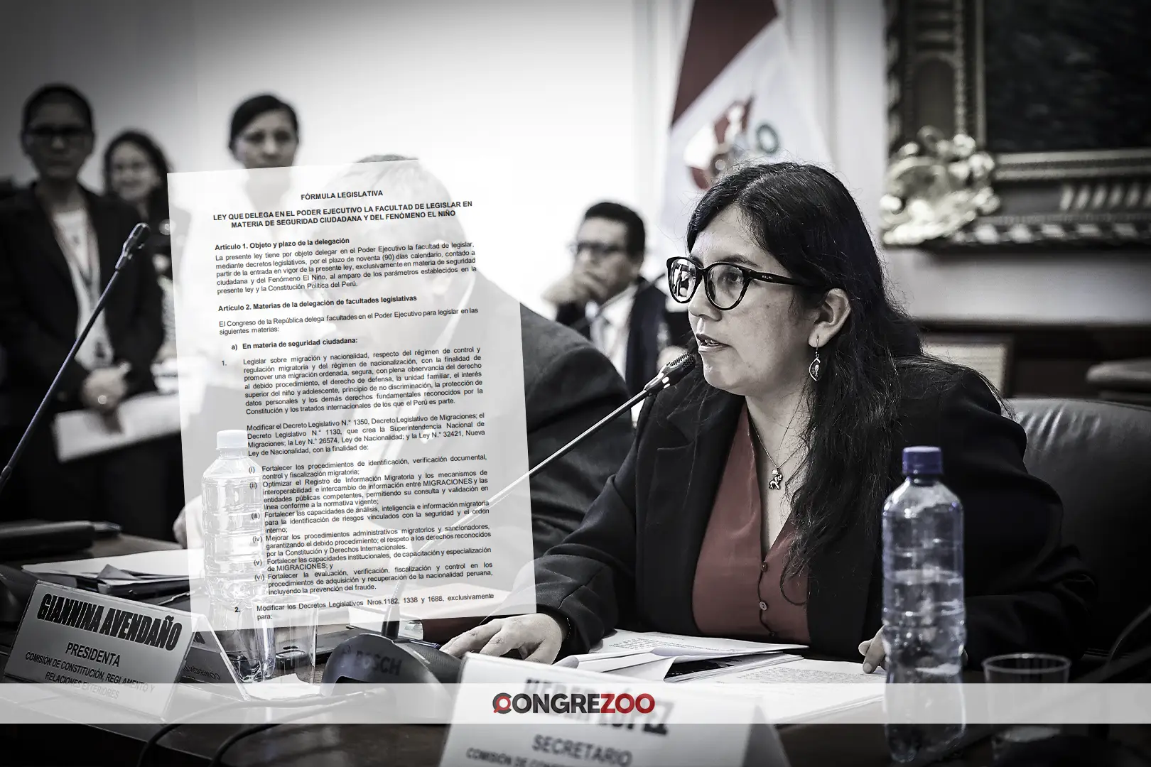 facultades legislativas - dictamen documento - votación - comisión de constitución
