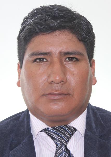 DAVID MARLON YUCRA CHAMBI